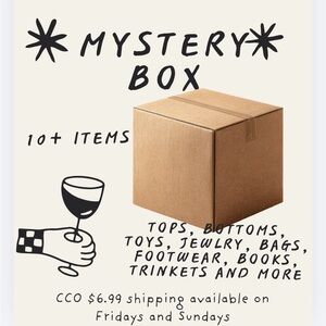 Mystery Box with 10+ Items